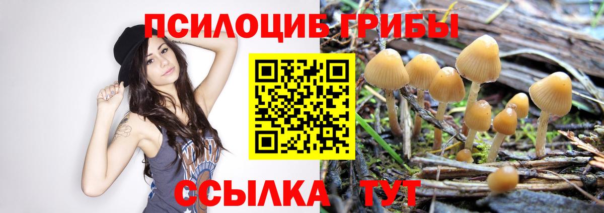 Пушкино  Галлюциногенные грибы мухоморы  Вход с VPN 